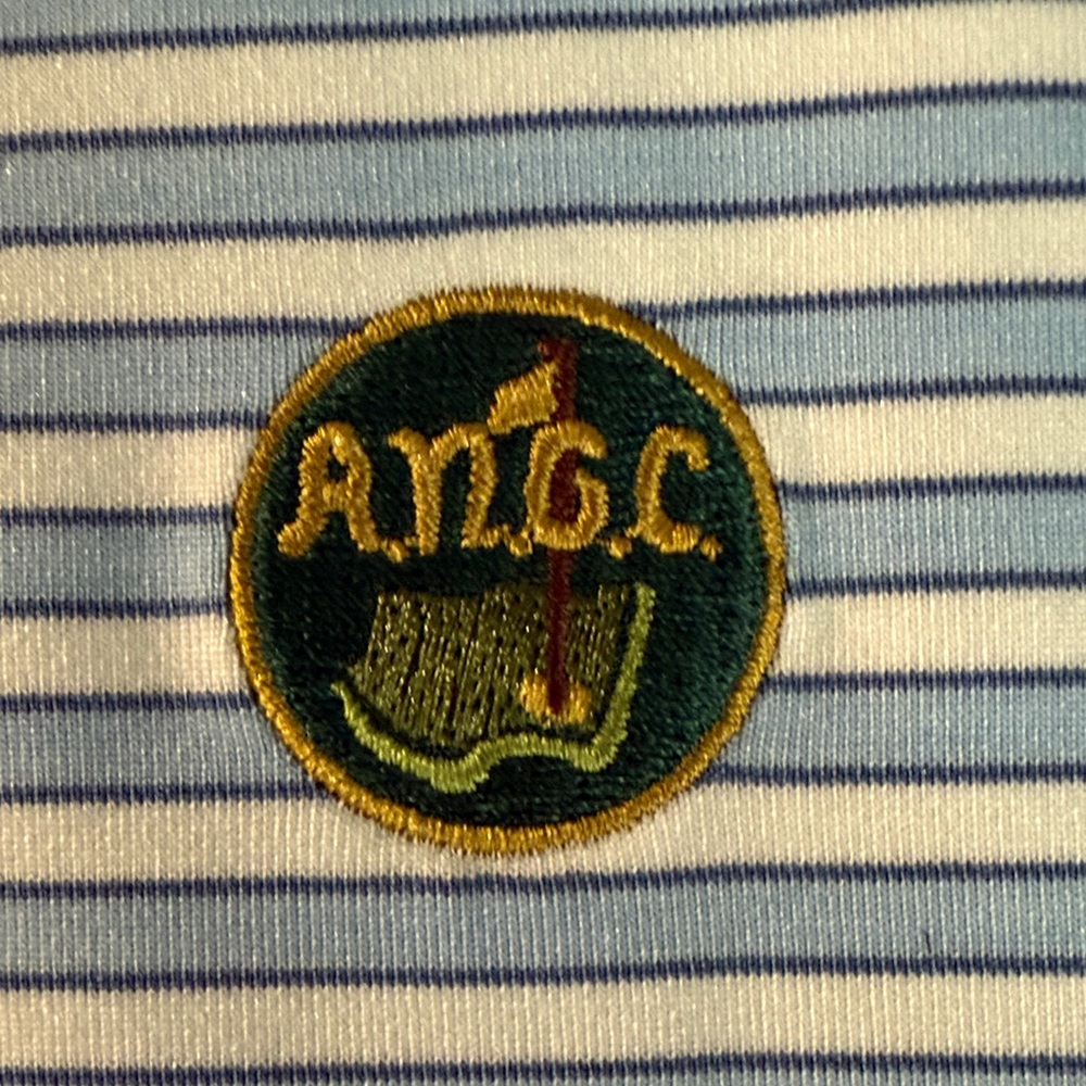 ANGC Classic Blue and White Striped Polo Shirt - Picture 3 of 5